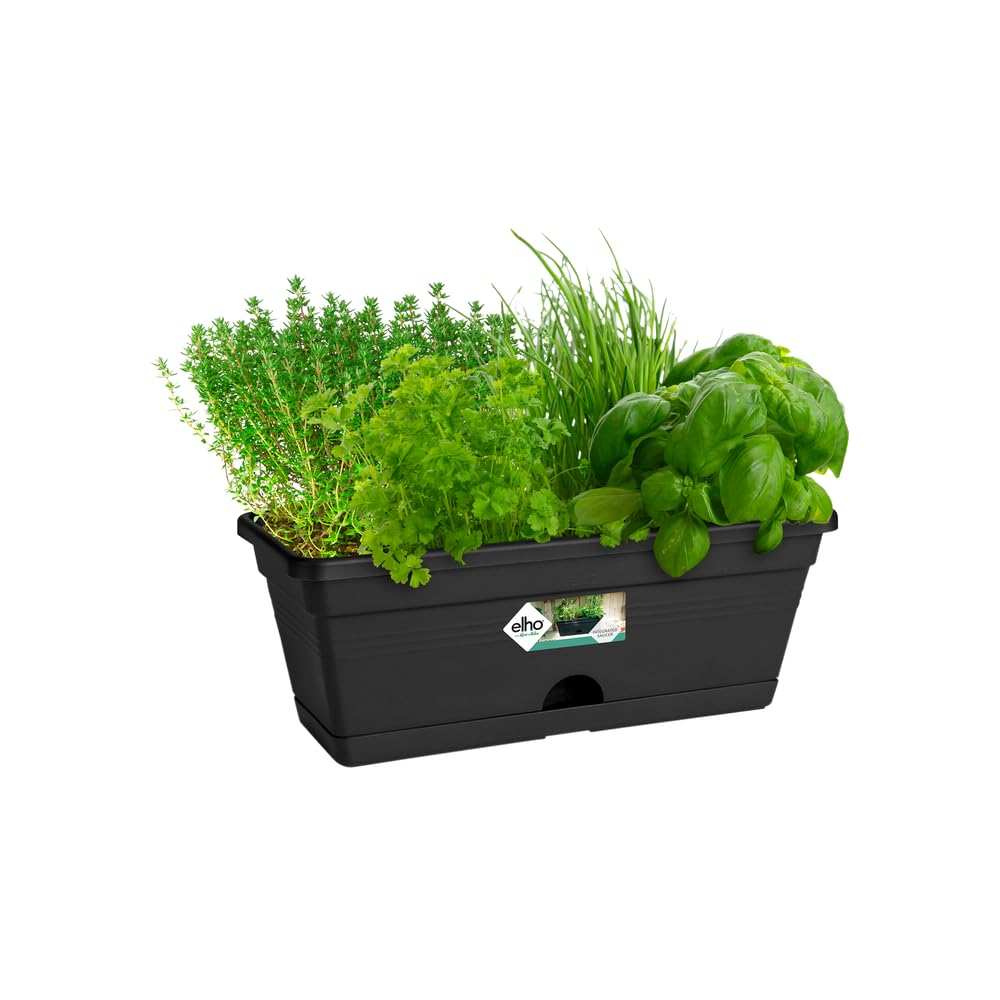 elho-green-basics-balkonkasten-mini-30cm-living-schwarz-pflanzkasten-mit-unterse image 3