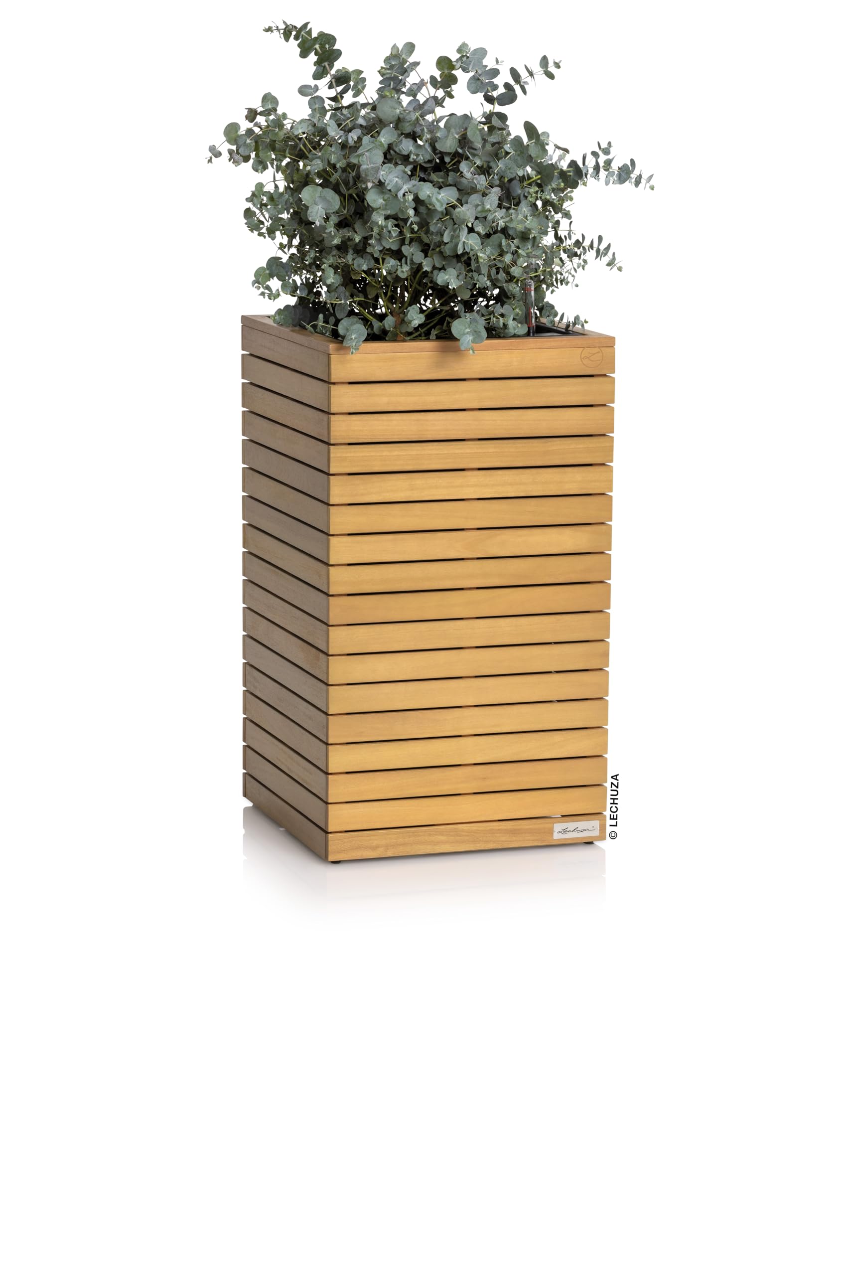 lechuza-palo-natural-wood-45-high-pflanzgef-eukalyptusholz-44-x-44-x-77-cm image 2