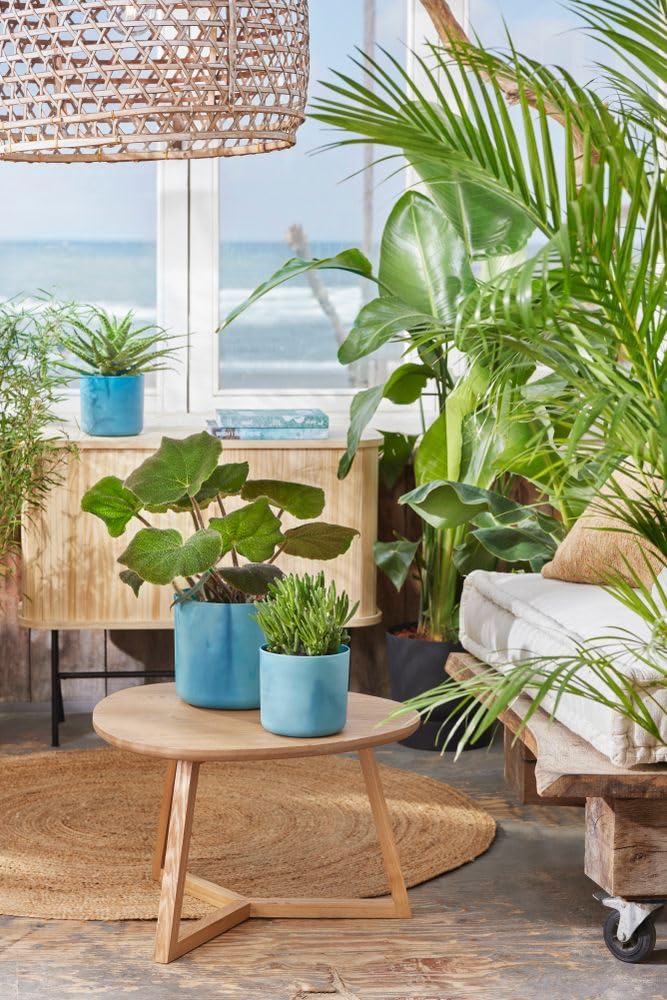 elho-the-ocean-collection-rund-22-cm-blumentopf-atlantikblau image 8