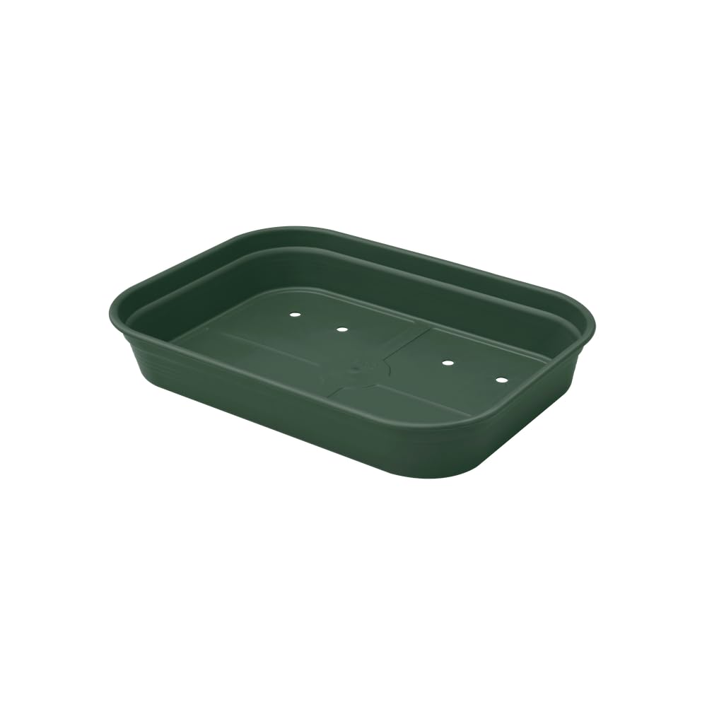elho-green-basics-anzucht-schale-s-laubgr-n-23-9-x-19-2-x-6-1-cm image 7