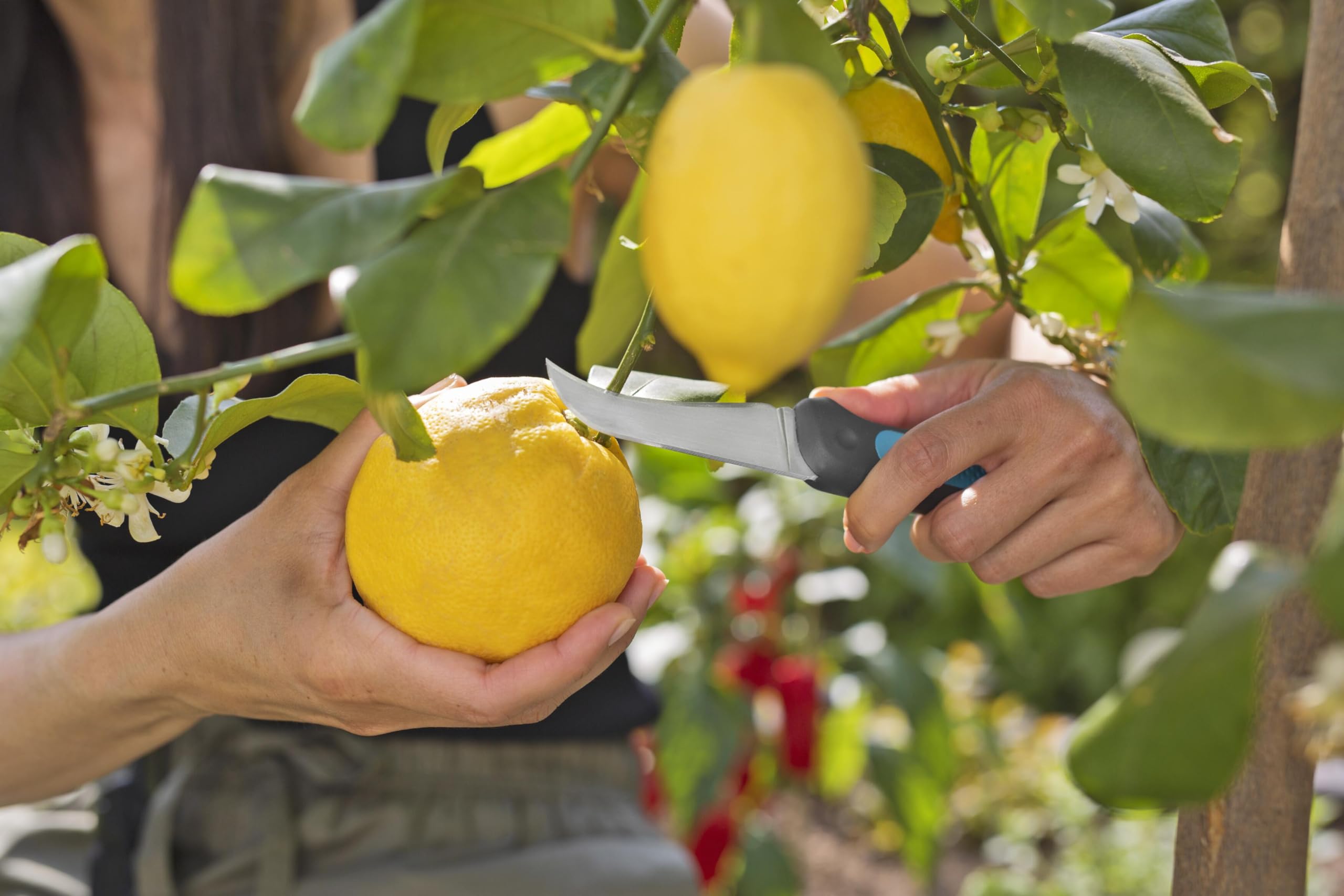 gardena-erntemesser-veggiecut-12211-20-mit-g-rtelholster image 8