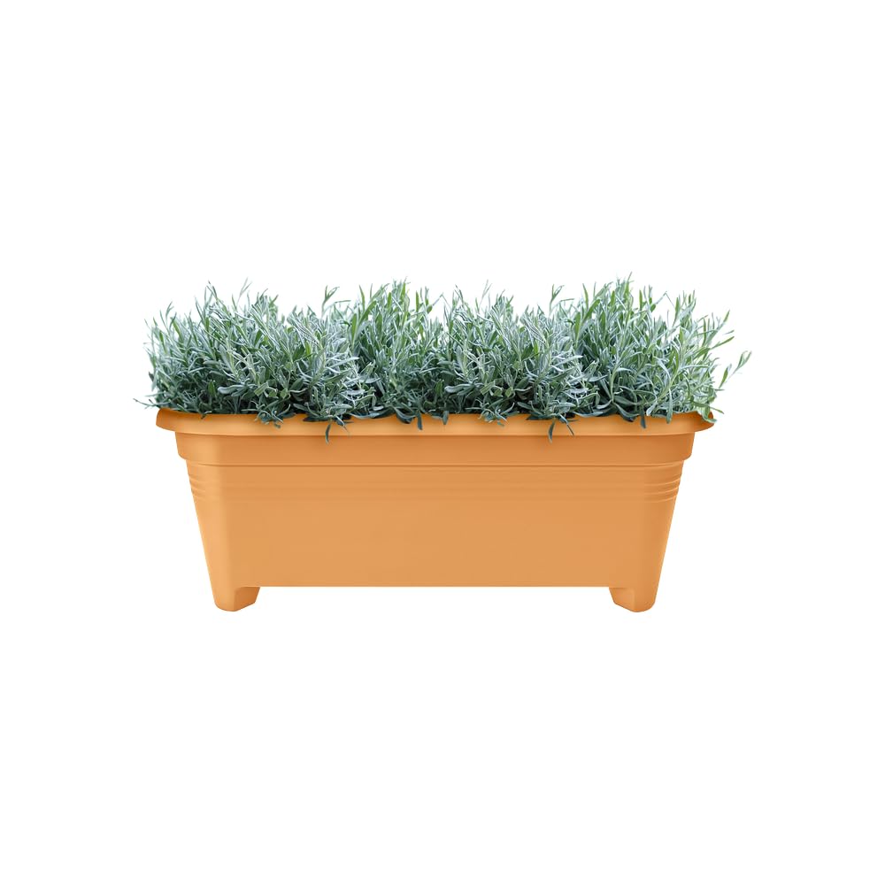 elho-green-basics-lange-60-balkonkasten-l-58-8-x-b-26-x-h-21-cm-mild-tonrot image 6