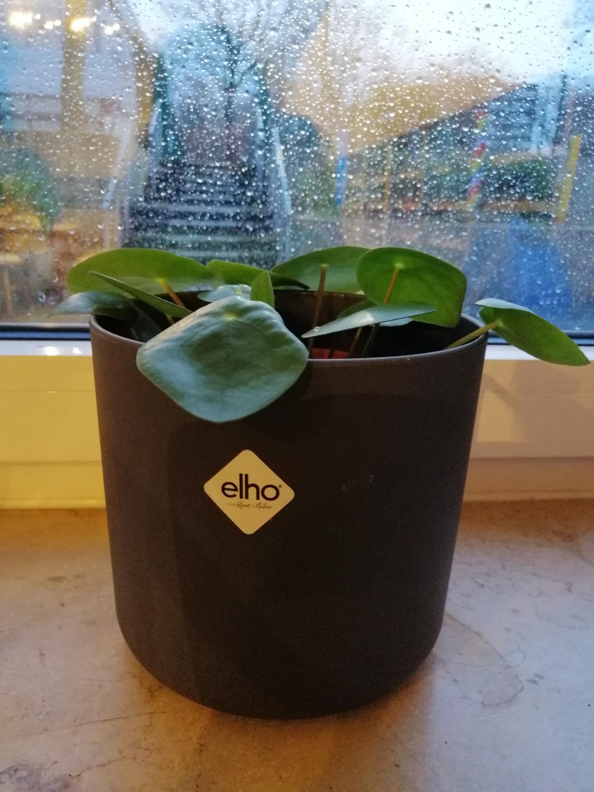 Weiche Haptik, edle Optik
