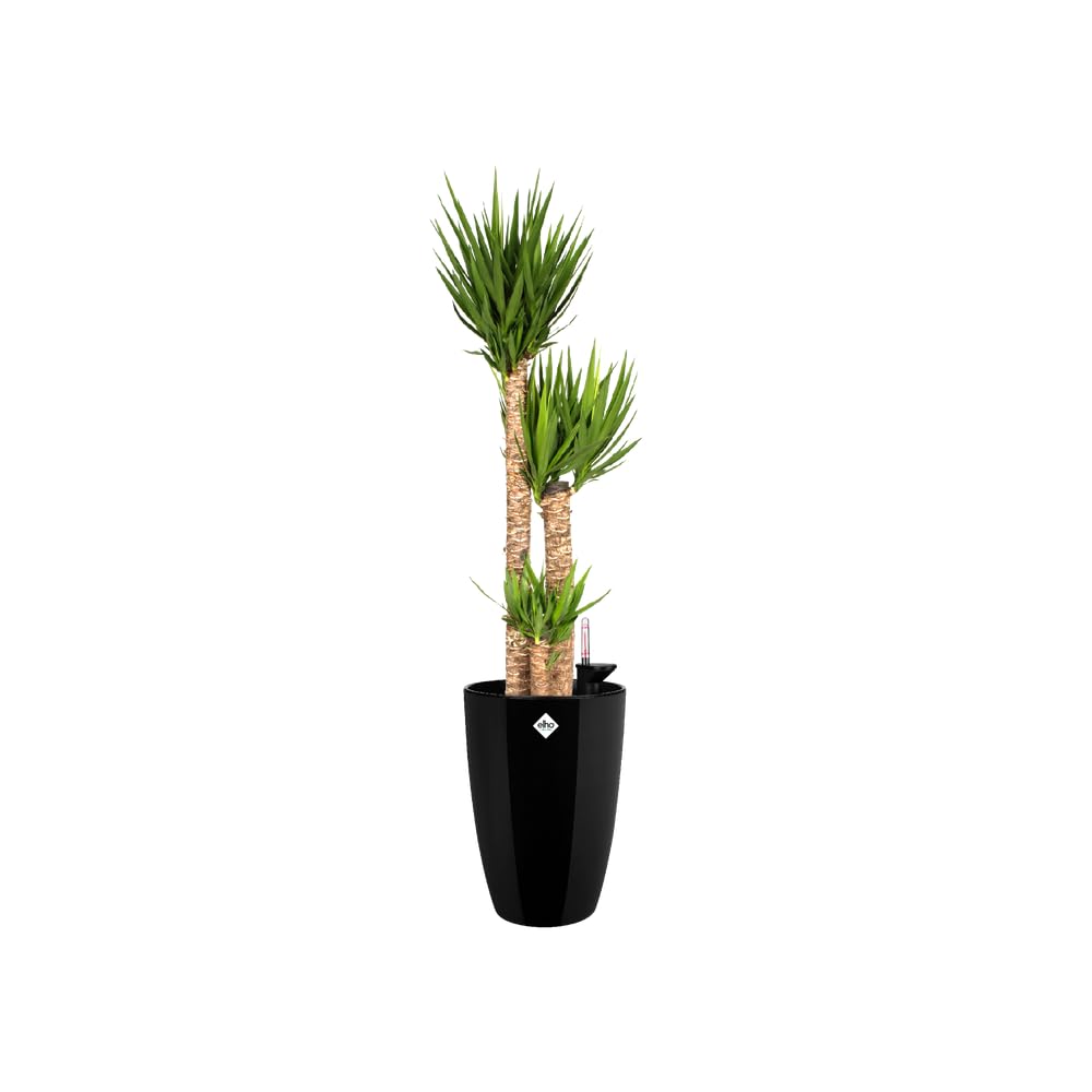 elho-brussels-diamond-rund-hoch-27-blumentopf-metallic-schwarz image 6