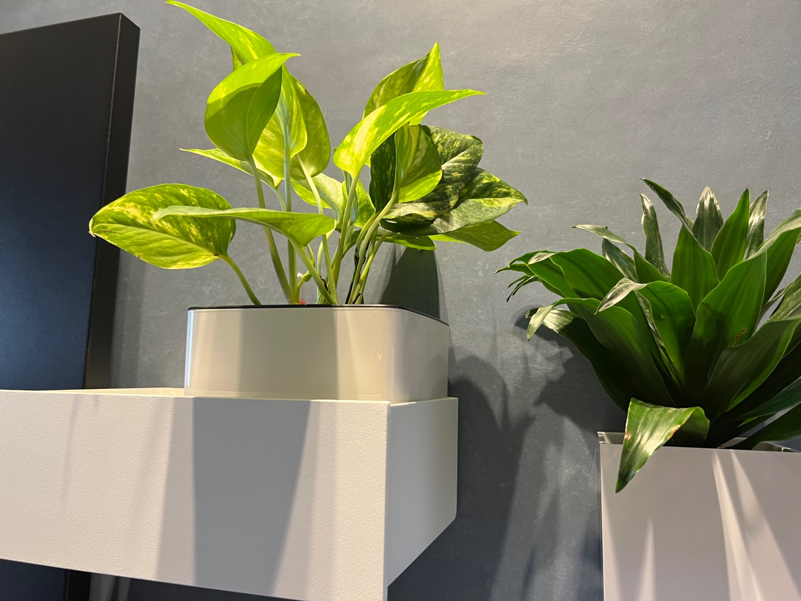 Solide für Büro und Küche