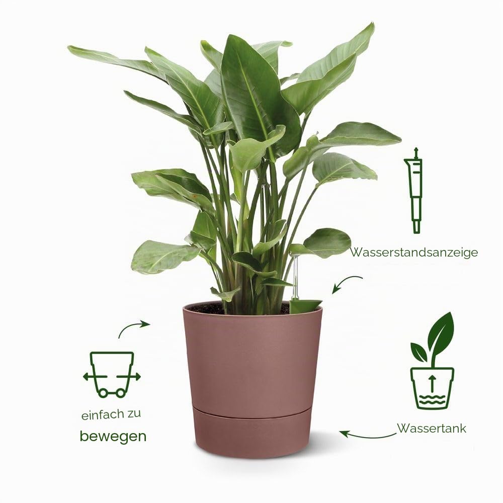 elho-greensense-aqua-care-rund-30-cm-blumentopf-light-beton image 2