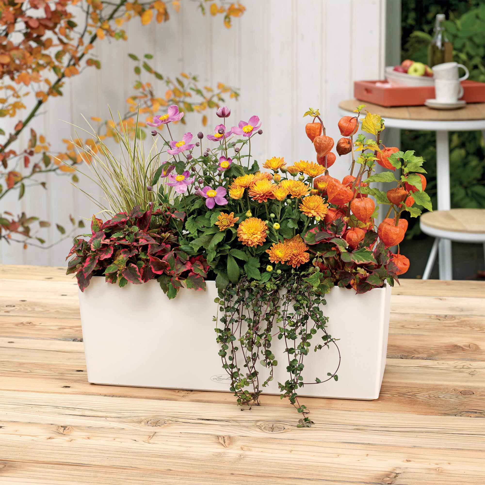 lechuza-balconera-color-50-balkonkasten-all-in-one-set-wei-50cm image 7