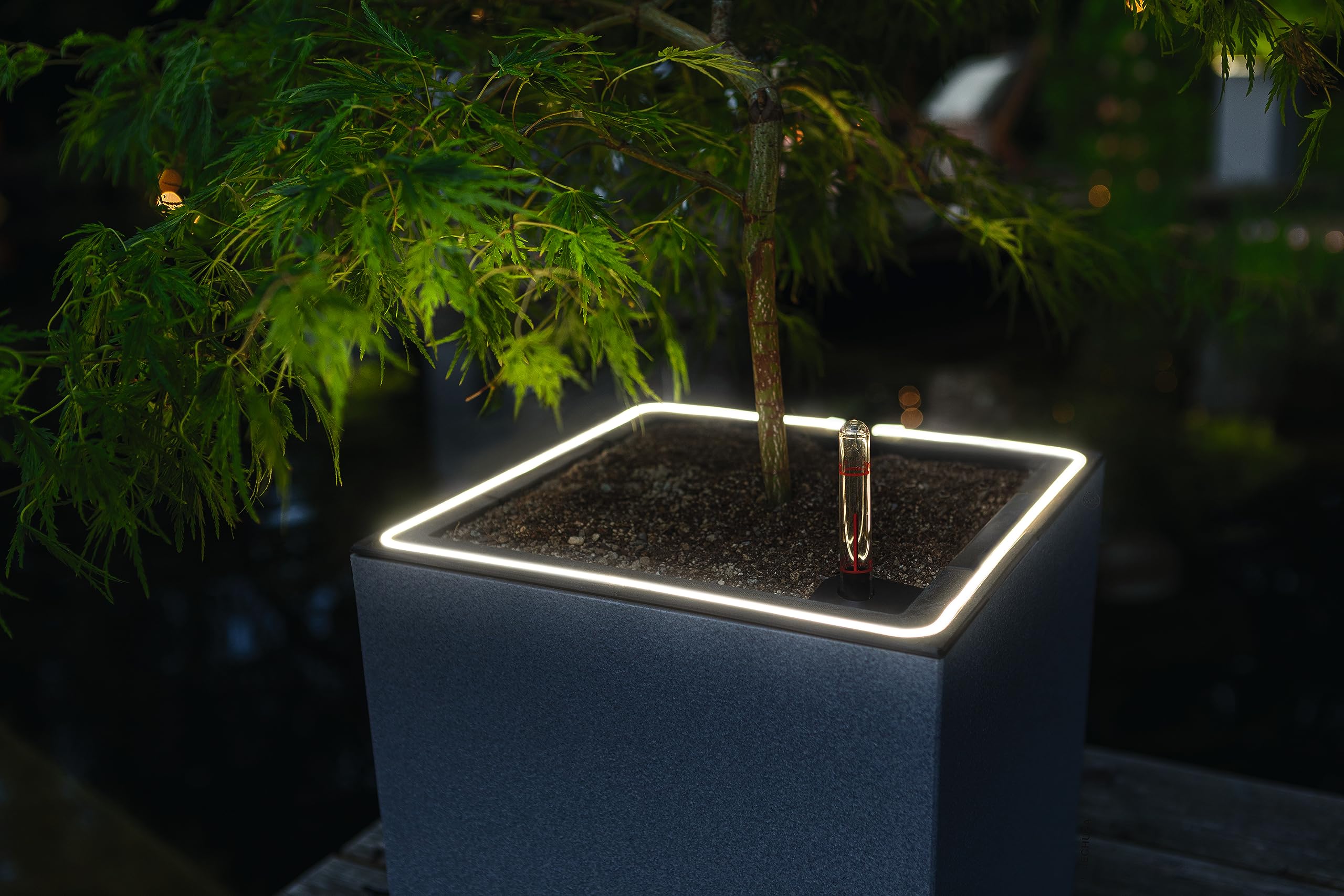 lechuza-canto-stone-30-high-led-pflanzs-ule-steingrau image 7