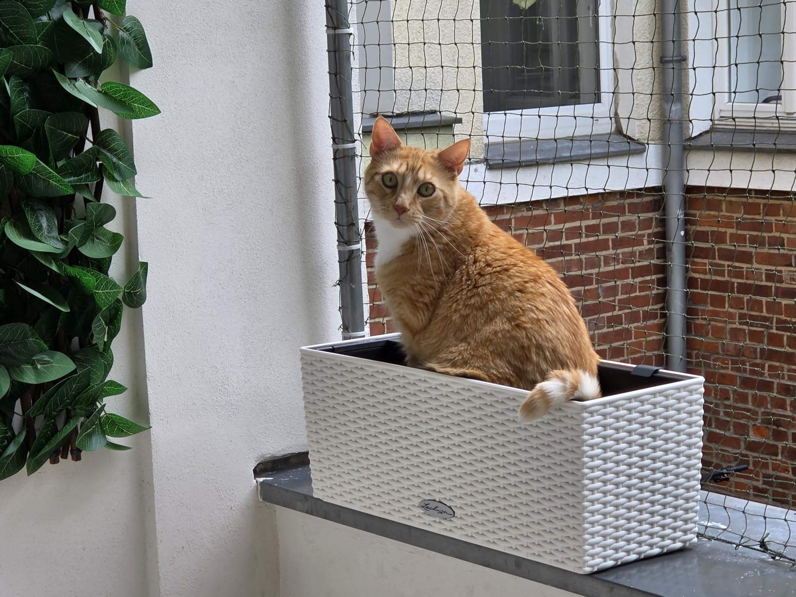 Als junge Mama mega praktisch