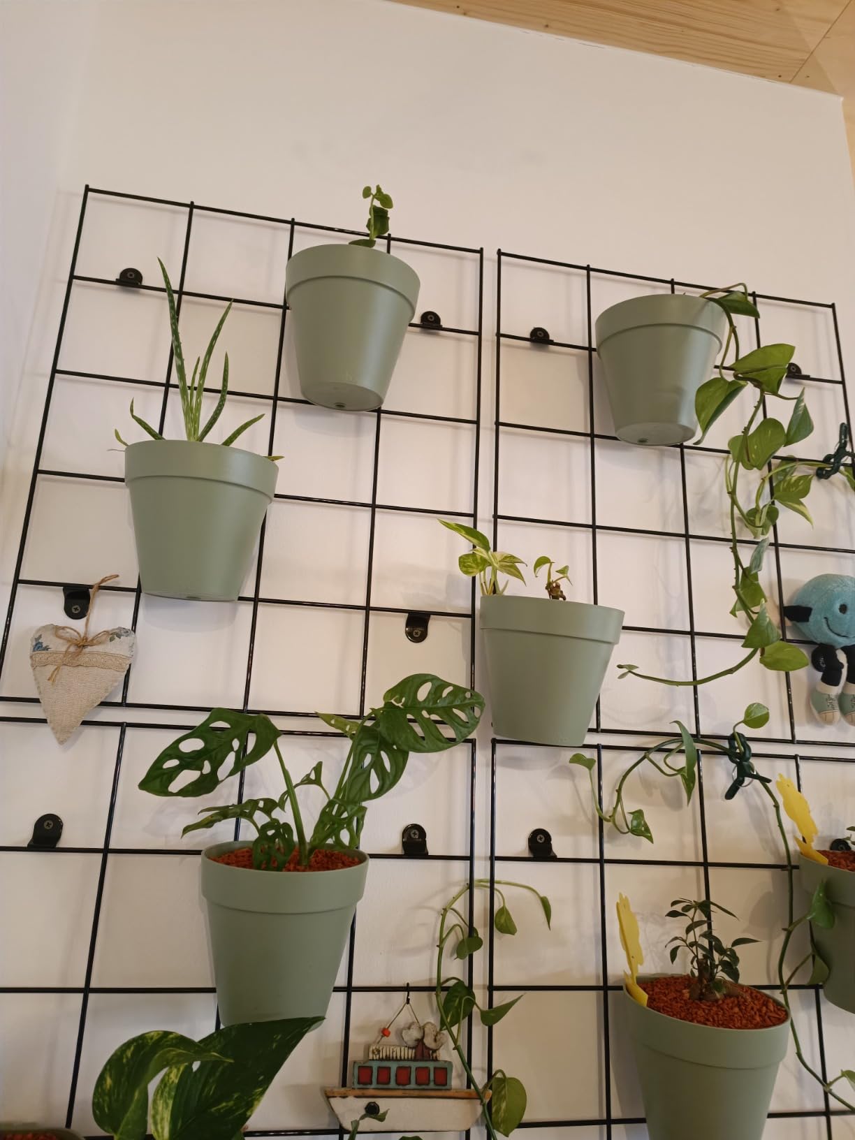 Perfekt für Kräuter am Balkon