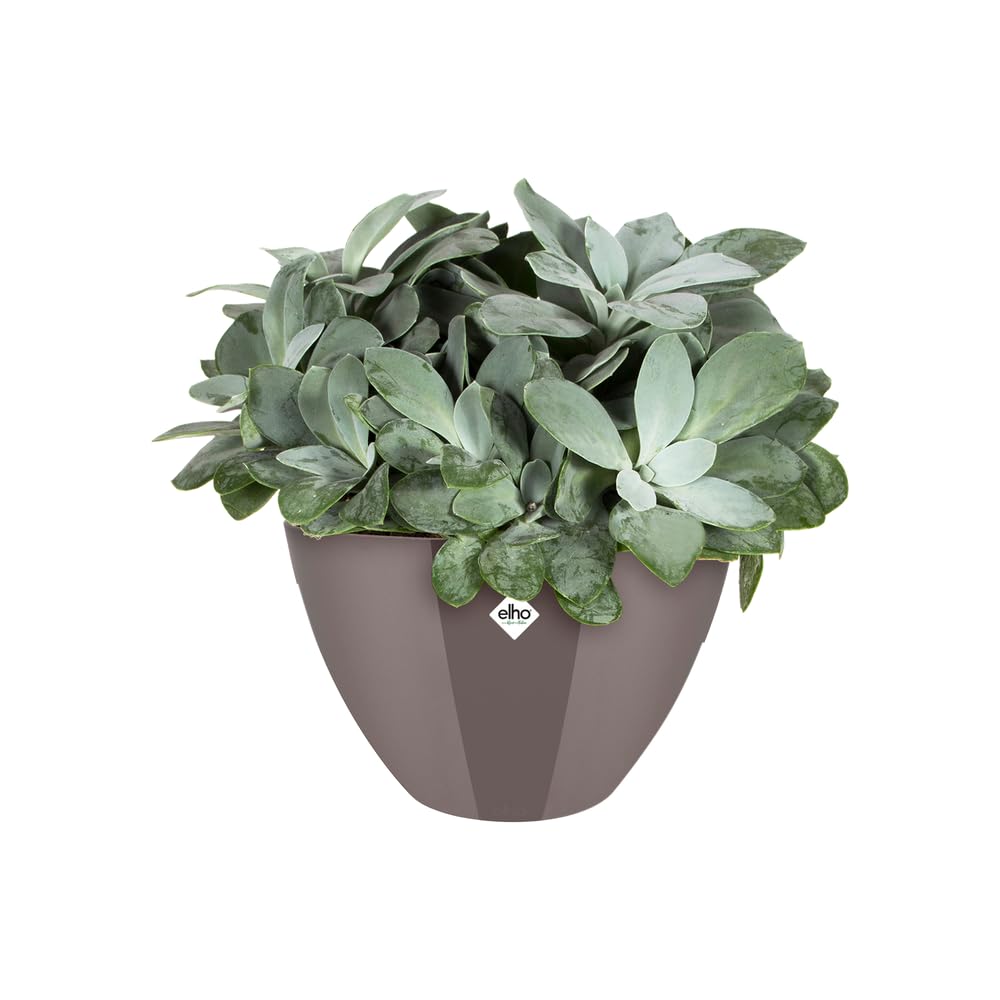 elho-brussels-diamond-oval-hoch-pflanztopf-36-cm-oyster-pearl image 3