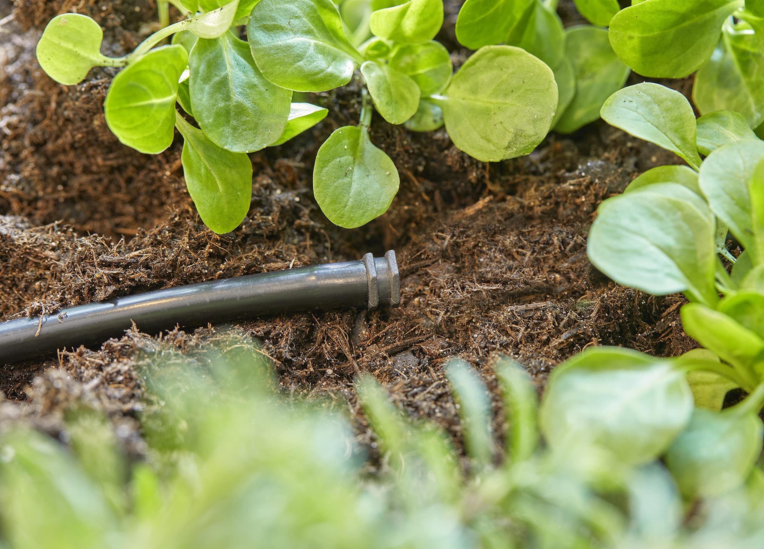 gardena-micro-drip-system-verschlussstopfen-4-6-mm-13215-20-10-st-ck image 3