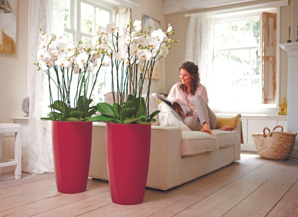 elho-brussels-diamond-rund-hoch-32-blumentopf-31-9-x-h-55-1-cm-lovely-rot-indoor image 5