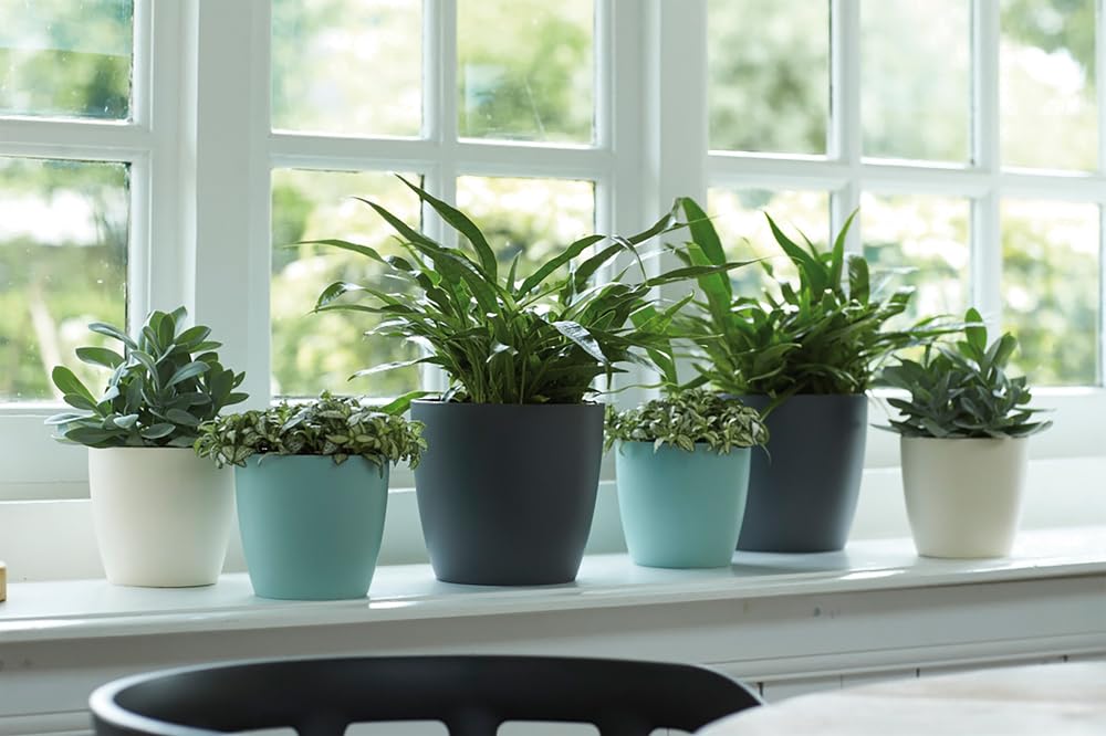 elho-brussels-rund-25-blumentopf-2er-set-anthracite-25-x-h-31-cm image 3