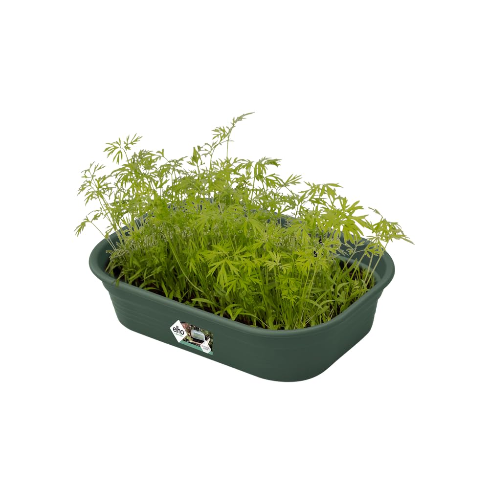 elho-green-basics-anzucht-schale-s-laubgr-n-23-9-x-19-2-x-6-1-cm image 3