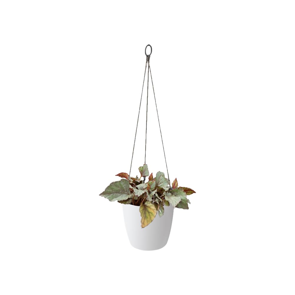 elho-brussels-h-ngeampel-18-cm-blumentopf-wei image 2