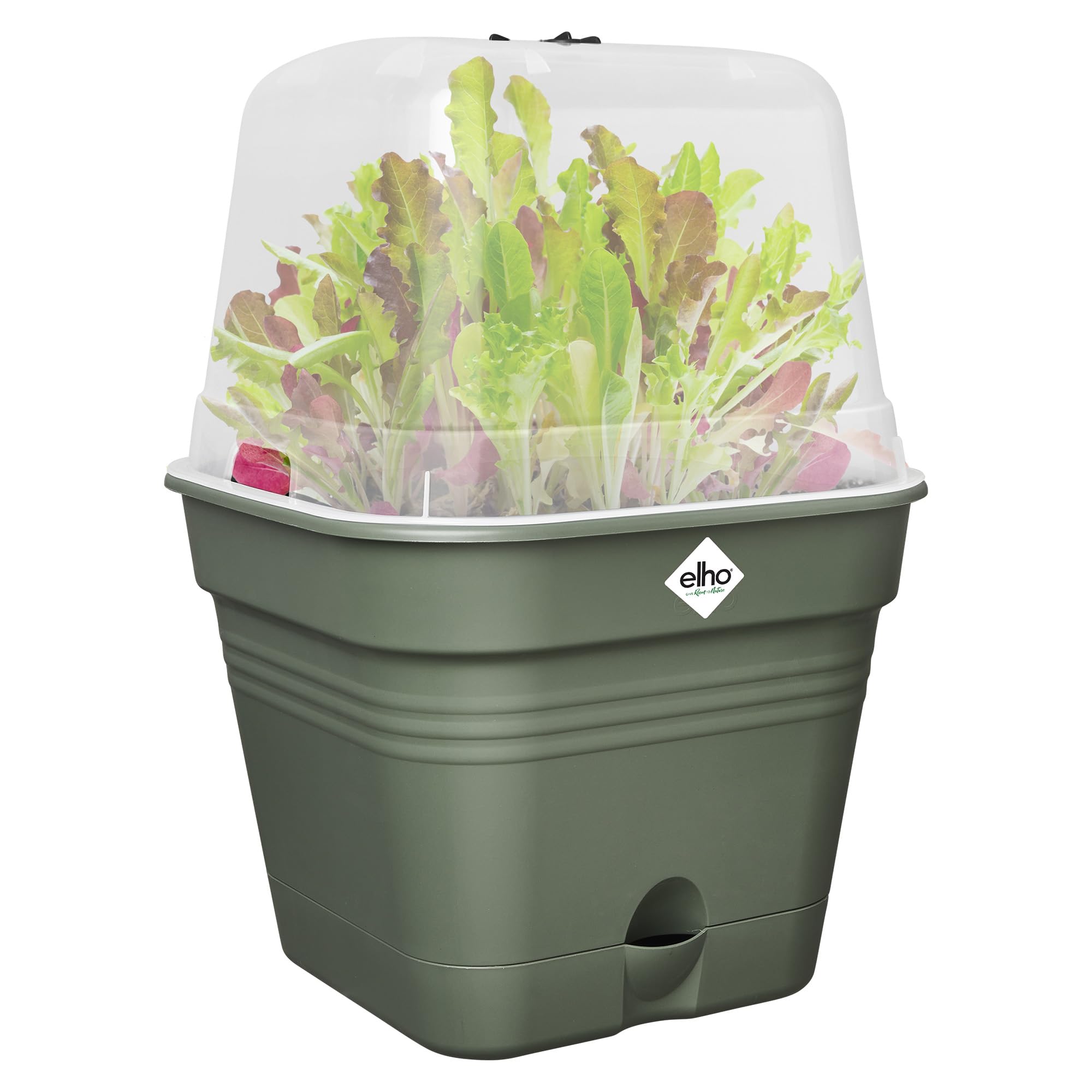 elho-green-basics-anzuchtset-all-in-1-25-cm-living-schwarz-mit-gew-chshaus-und-w image 6