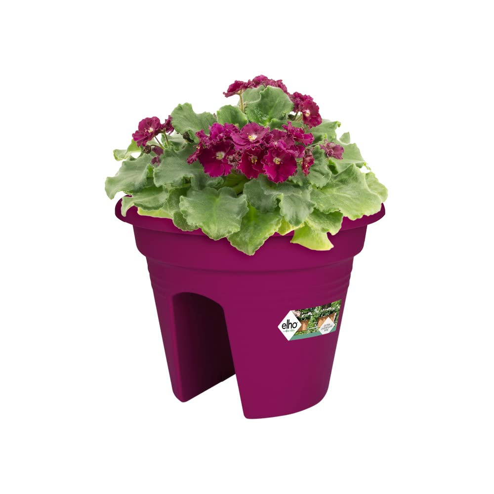elho-green-basics-flower-bridge-30-kirsche-balkon-bertopf-f-r-gel-nder-bis-6-cm image 1