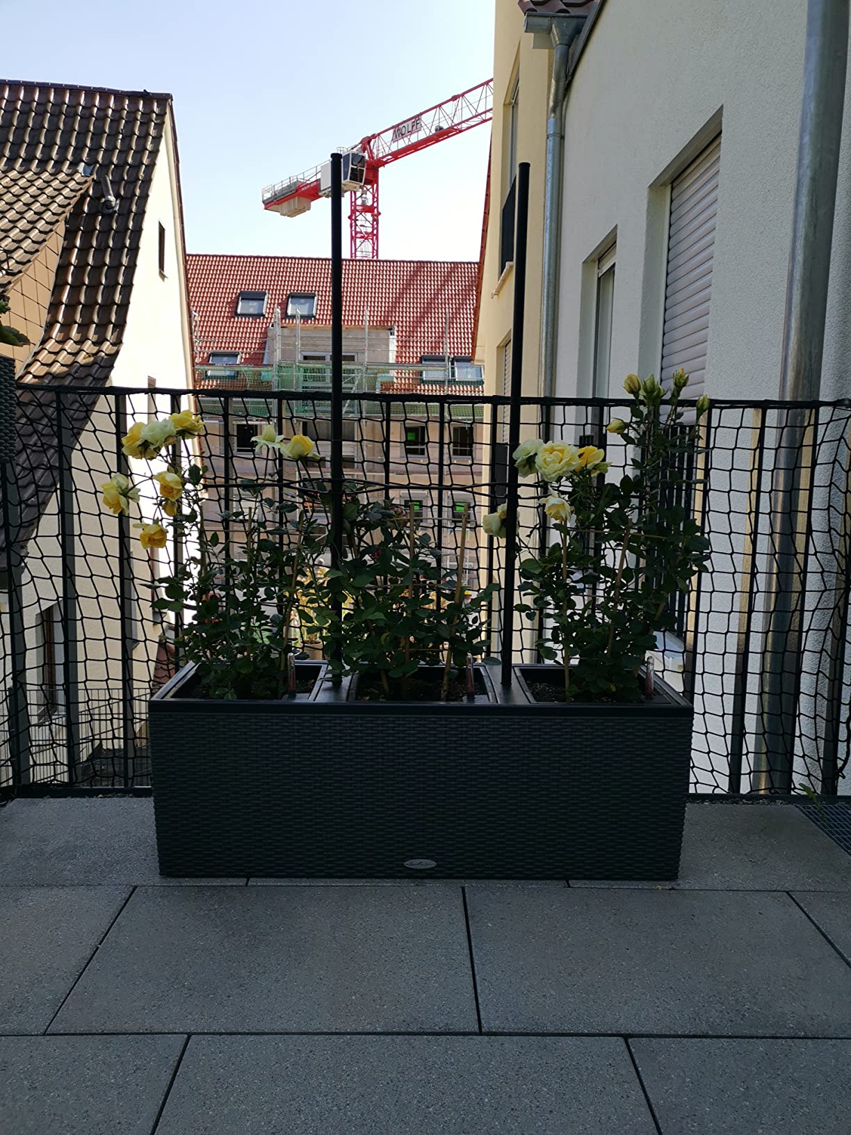 Enkeltauglich und hübsch