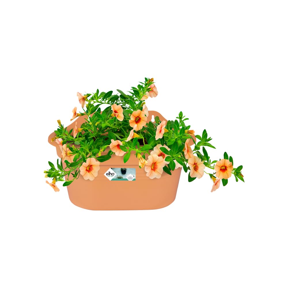 elho-green-basics-wandampel-30-bertopf-mild-tonrot image 3
