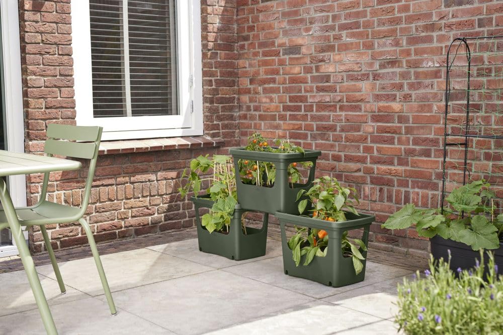 elho-green-basics-stack-grow-50-pflanzgef-gr-n-laubgr-n-50-9-x-h-35-7-cm image 8