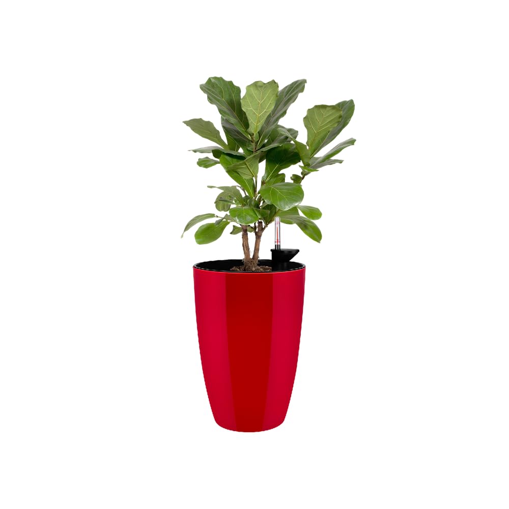 elho-brussels-diamond-rund-hoch-32-blumentopf-31-9-x-h-55-1-cm-lovely-rot-indoor image 8