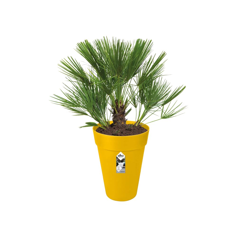 elho-loft-urban-rund-hoch-35-cm-blumentopf-ocker image 8