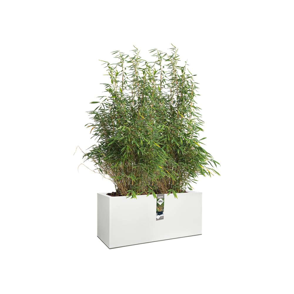 elho-vivo-long-blumenkasten-90-cm-mit-r-dern-wei-matt-kunststoff image 3