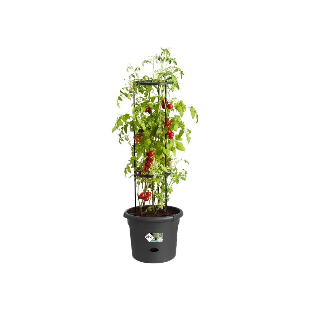 elho-green-basics-tomatentopf-33-cm-mit-gestell-living-schwarz image 3