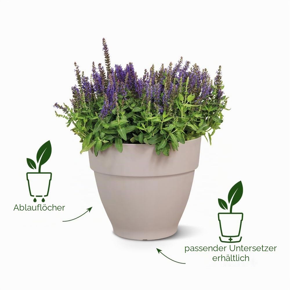 elho-vibia-campana-blumentopf-65-cm-terra image 2