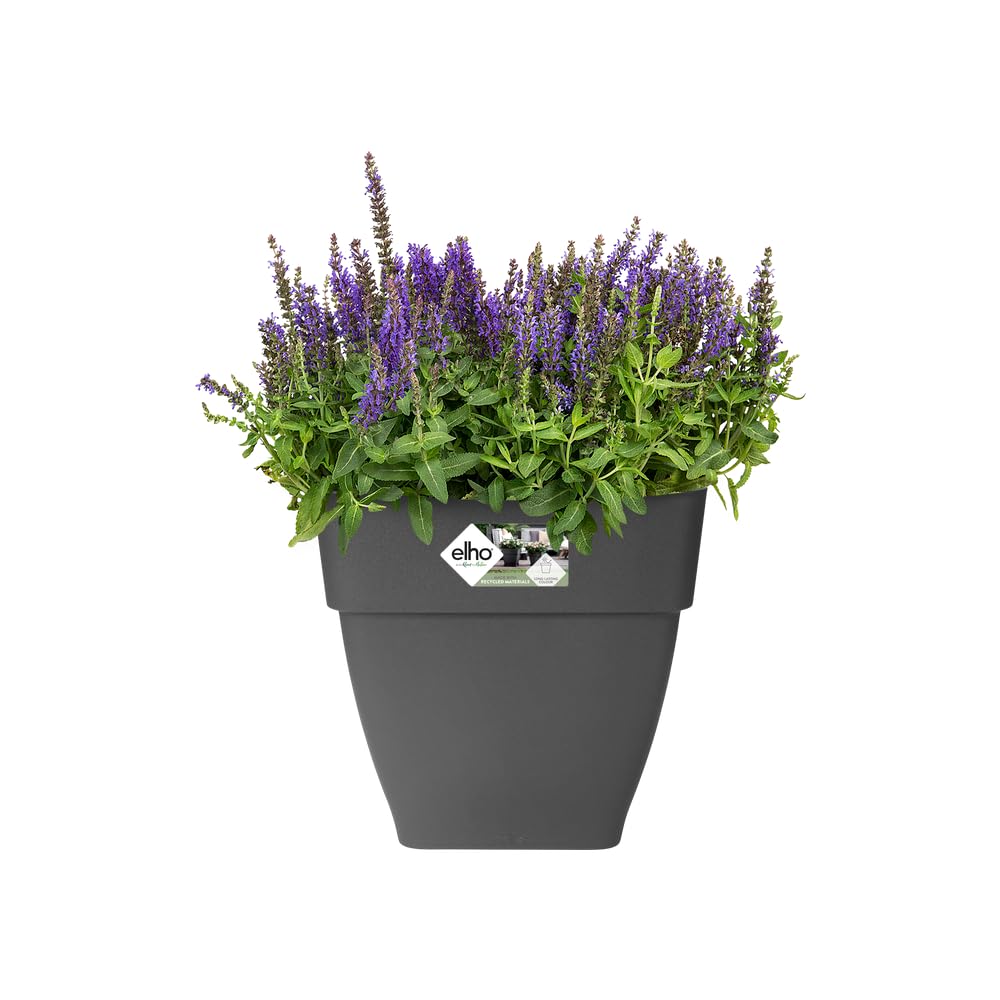 elho-vibia-campana-quadrat-37-cm-blumentopf-anthracite image 3