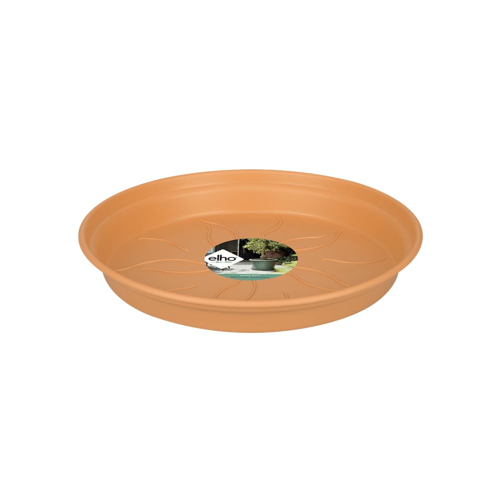 elho-green-basics-orchideen-untersetzer-10-cm-transparent image 7