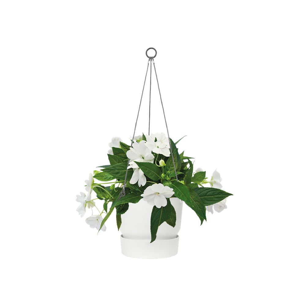 elho-greenville-h-ngeampel-24-cm-wei-23-5-x-h-20-5-cm-mit-untersetzer image 8