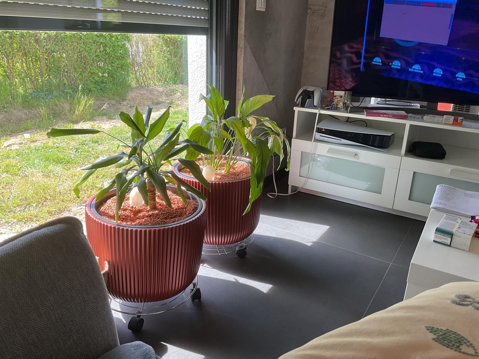 Palme gerettet