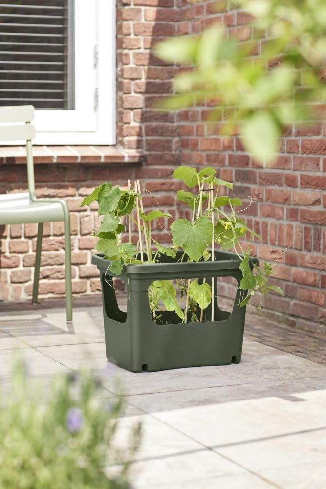 elho-green-basics-stack-grow-50-pflanzgef-gr-n-laubgr-n-50-9-x-h-35-7-cm image 7