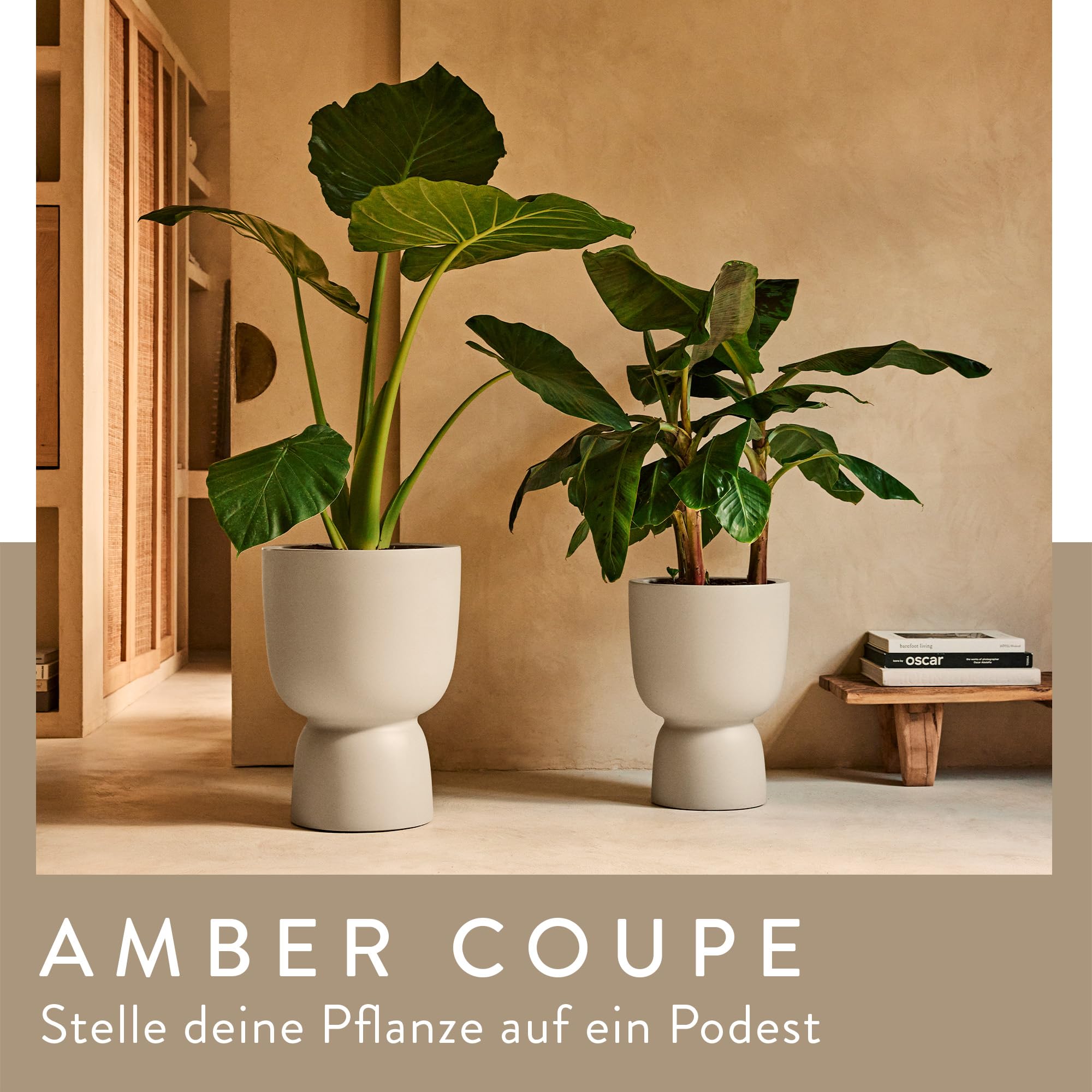 elho-amber-coupe-41-cm-blumentopf-balanced-beige image 2