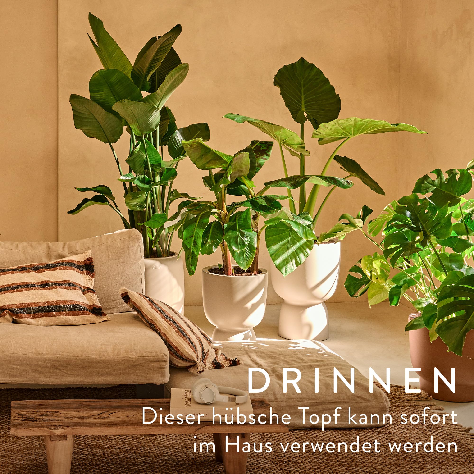 elho-amber-coupe-41-cm-blumentopf-balanced-beige image 4