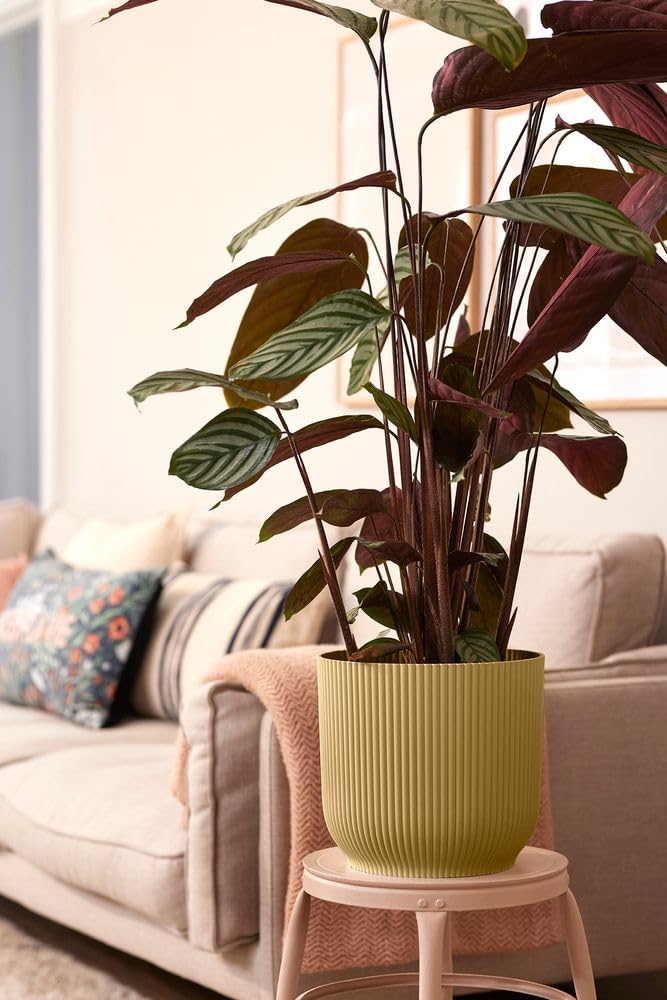 elho-vibes-fold-rund-rollen-35-cm-blumentopf-buttergelb image 8