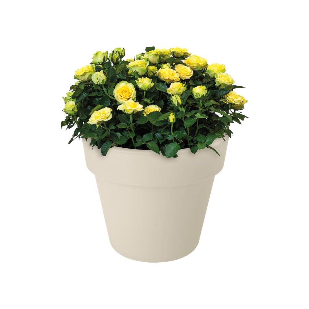 elho-green-basics-top-planter-23-cm-blumentopf-baumwolle-23-cm image 6
