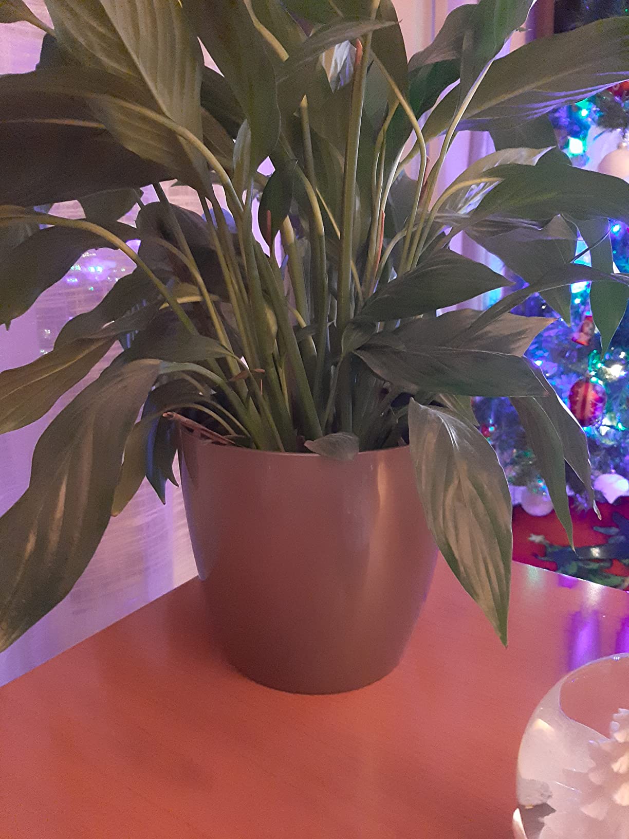 Tolles Design fürs Wohnzimmer