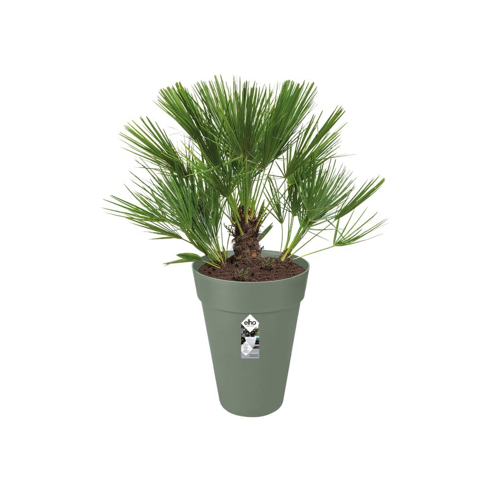 elho-loft-urban-rund-hoch-28-blumentopf-pistazien-gr-n-27-5-x-h-35-8-cm image 3