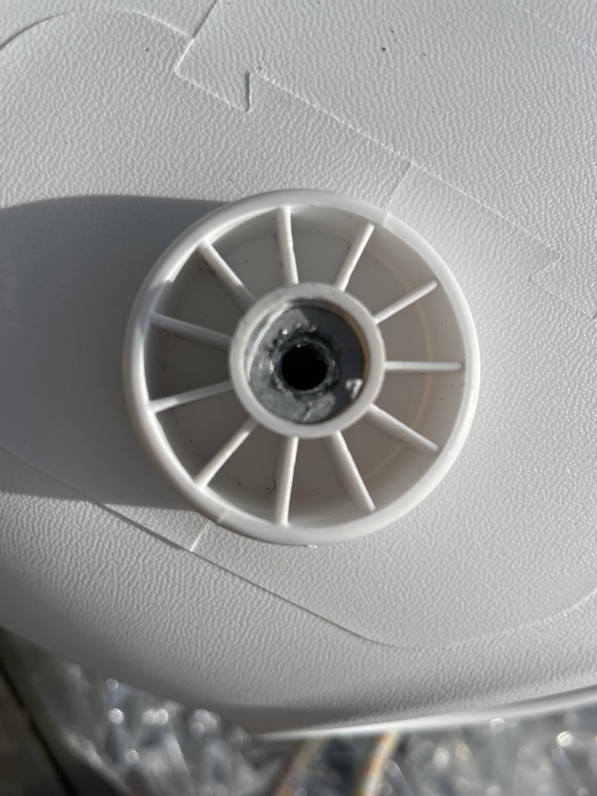 Ideal für kleine Balkone, robust und leicht zu pflegen im Alltag