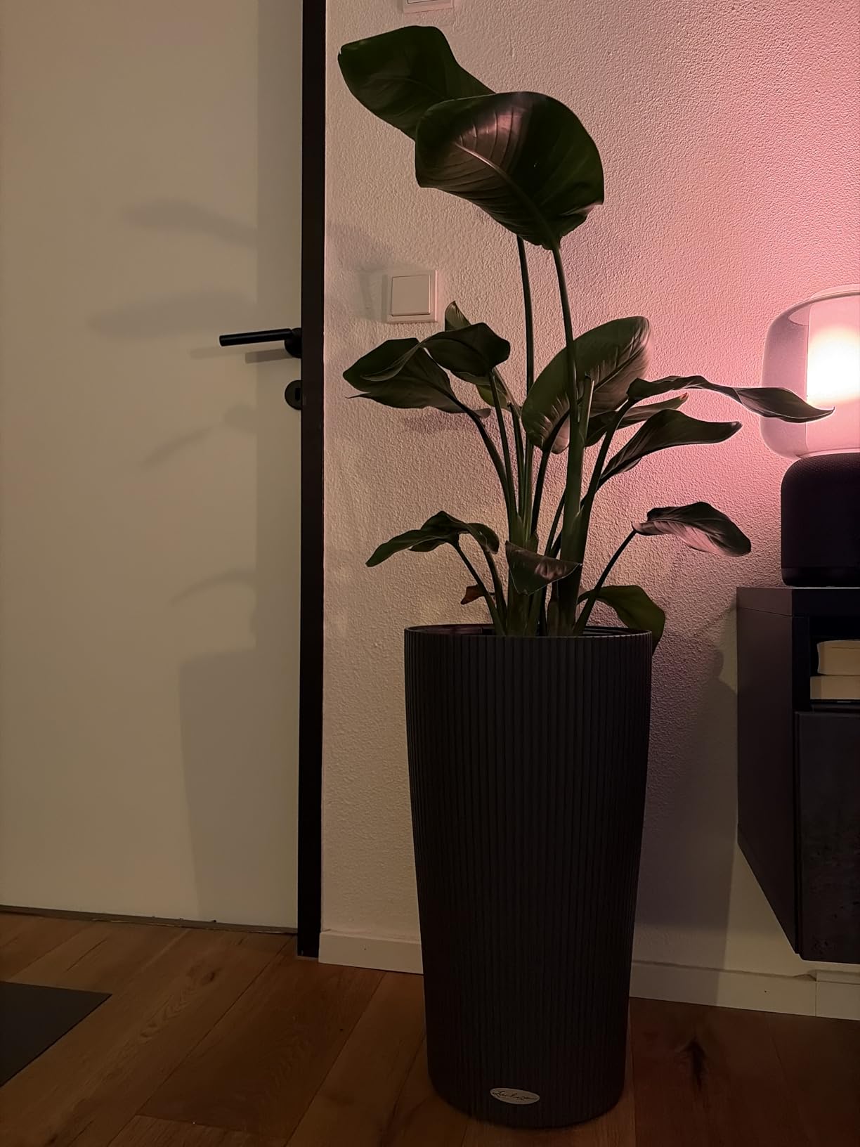 Praktisch und neutral