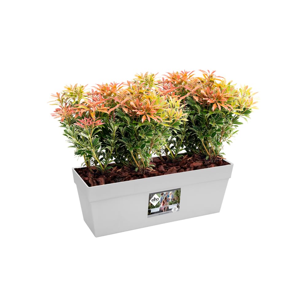 elho-loft-urban-balkonkasten-50-cm-weiss image 4