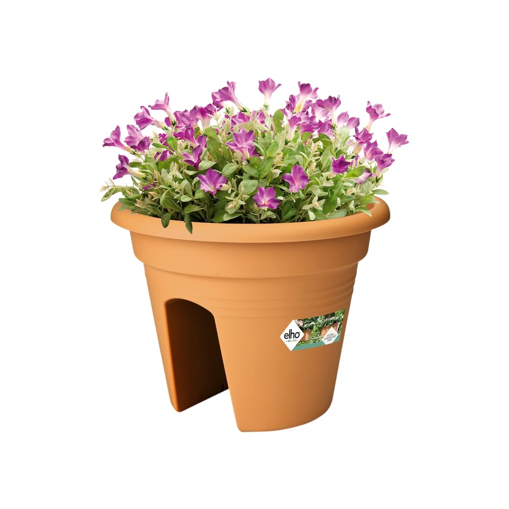 elho-green-basics-flower-bridge-30-balkonkasten-mild-tonrot-29-3-cm image 3