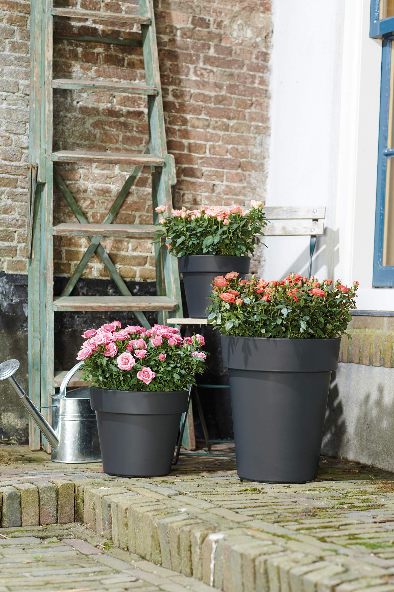 elho-green-basics-top-planter-23-cm-blumentopf-baumwolle-23-cm image 2