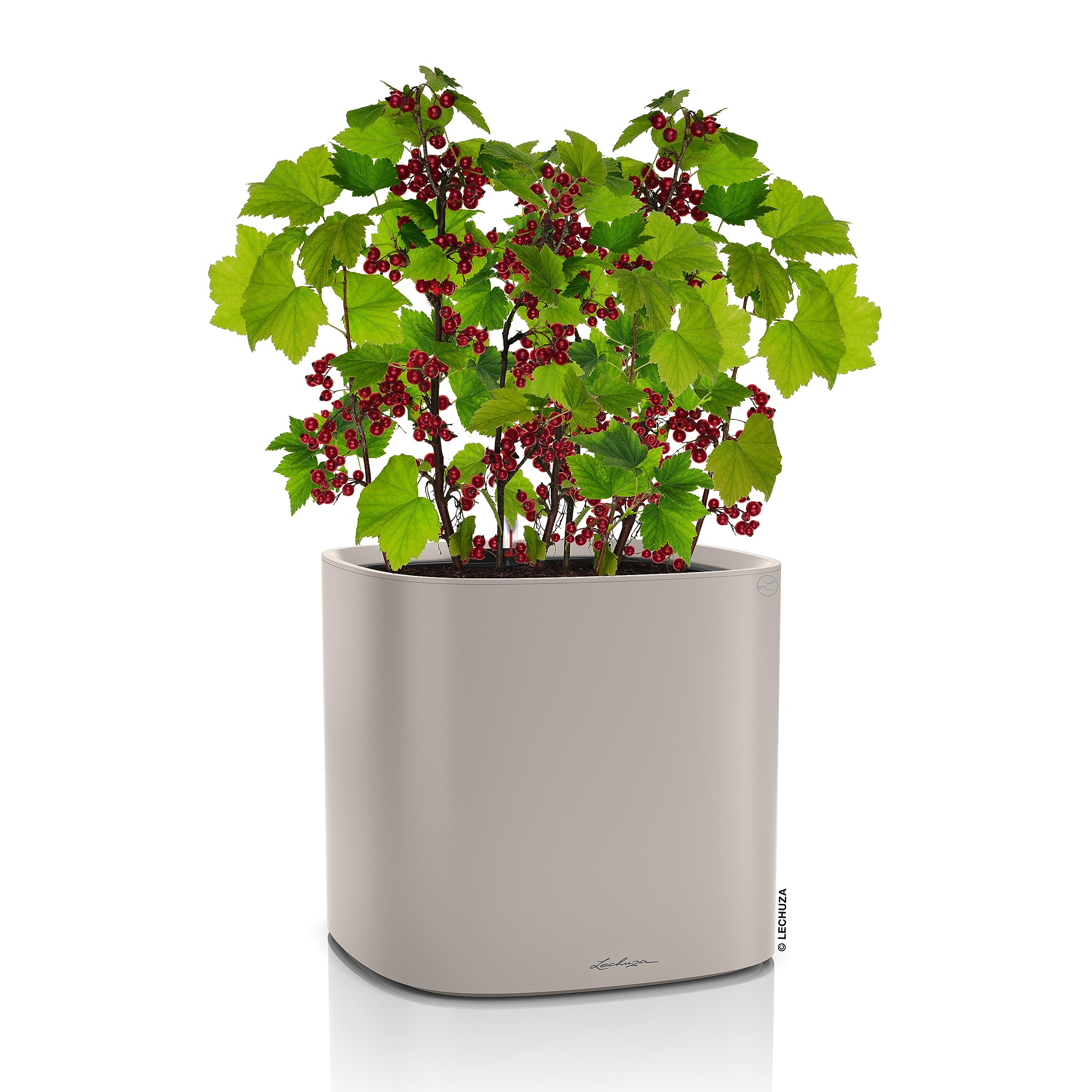 lechuza-pila-planter-35x35x33-cm-sandbraun-pflanzgef-mit-bew-sserungssystem image 2