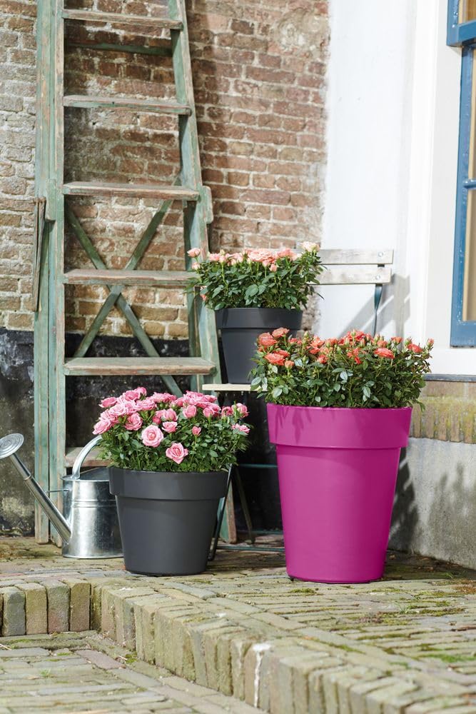 elho-green-basics-top-planter-hoch-35-kirsche-34-6-x-h-40-6-cm image 5