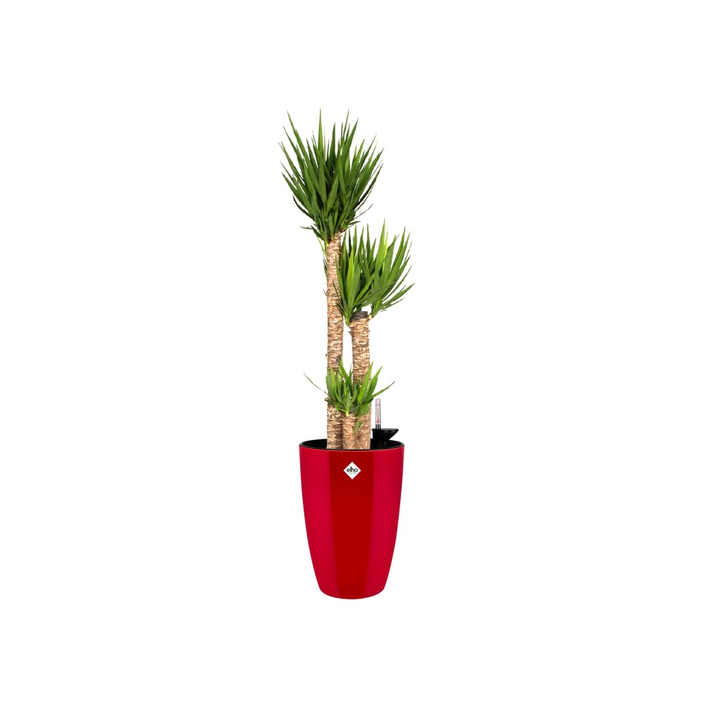 elho-brussels-diamond-rund-hoch-32-blumentopf-31-9-x-h-55-1-cm-lovely-rot-indoor image 3