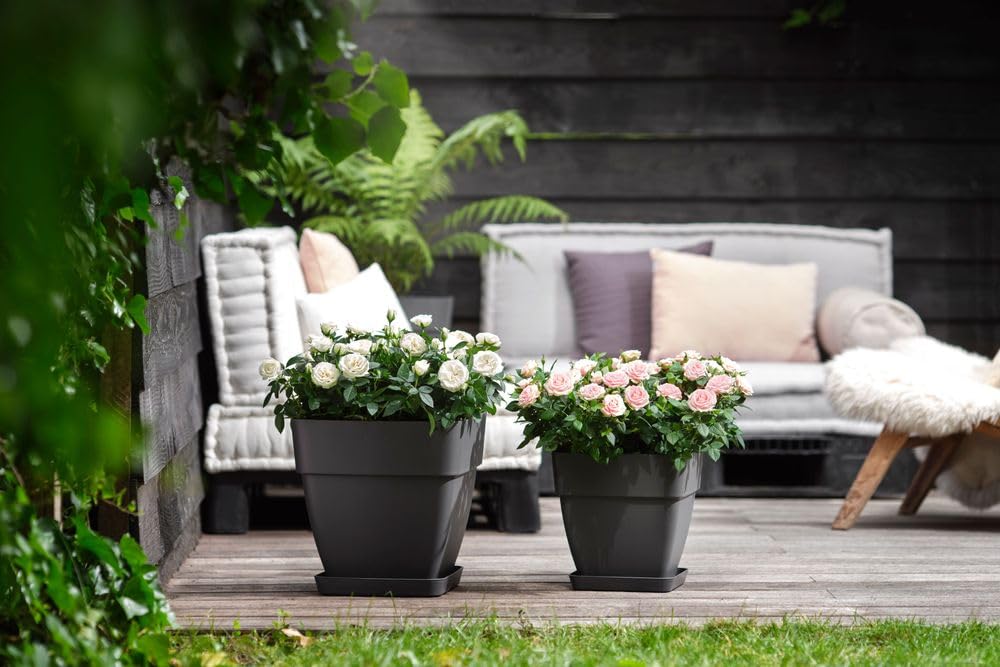 elho-vibia-campana-quadrat-37-cm-blumentopf-anthracite image 7